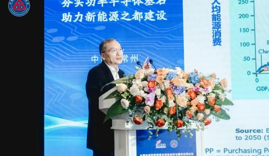  浙江大学求是特聘教授、中国电源学会名誉理事长  徐德鸿